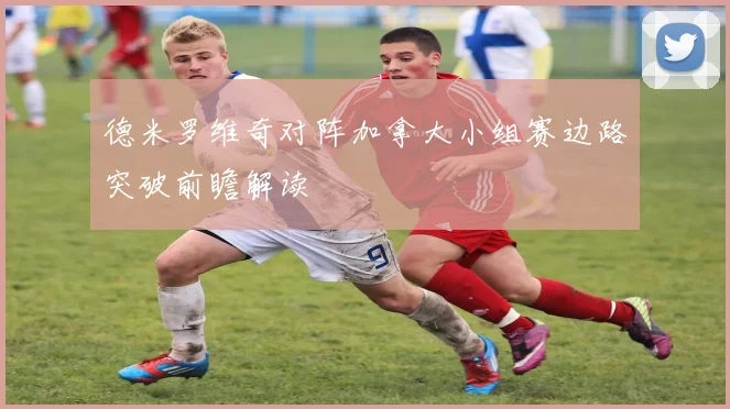 德米罗维奇对阵加拿大小组赛边路突破前瞻解读