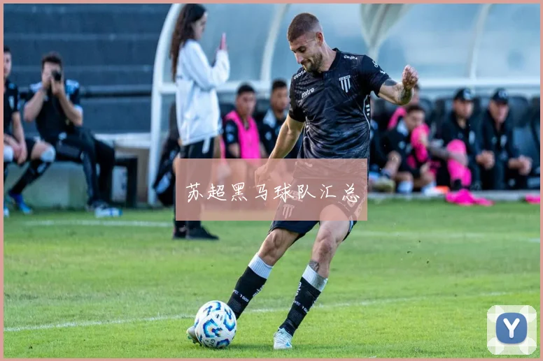 苏超黑马球队汇总